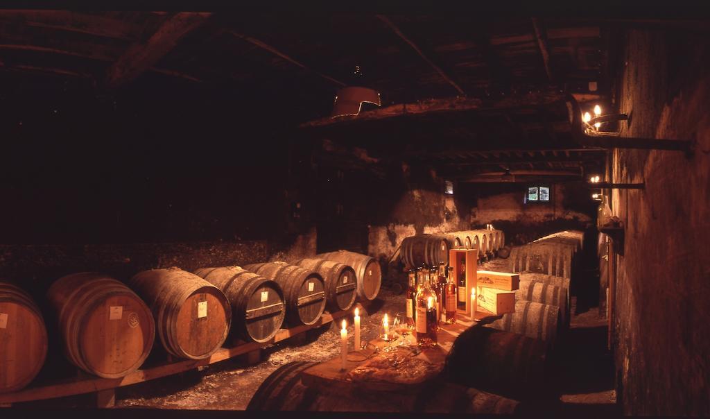 Chateau Du Prada Labastide-d'Armagnac Экстерьер фото